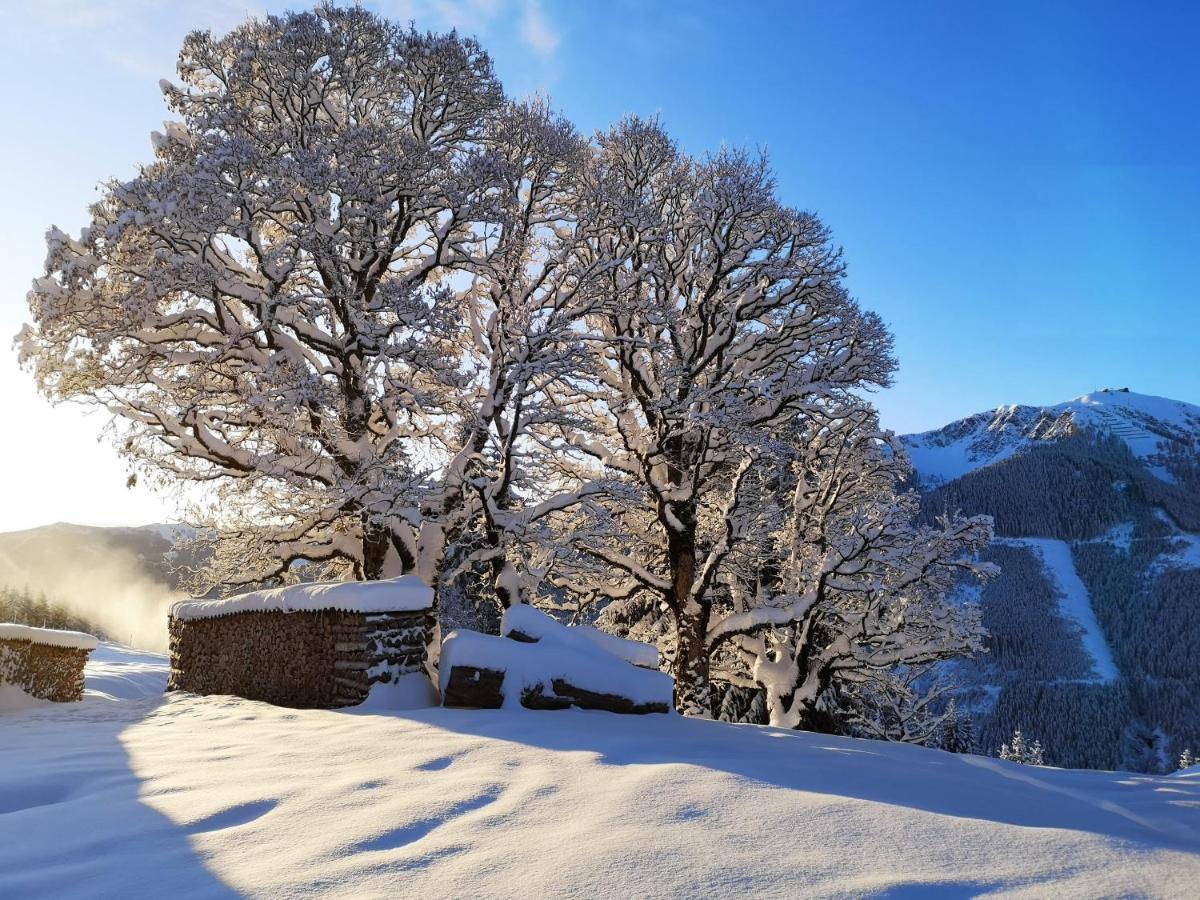 Sinnlehen Alm Saalbach-Hinterglemm Exterior foto